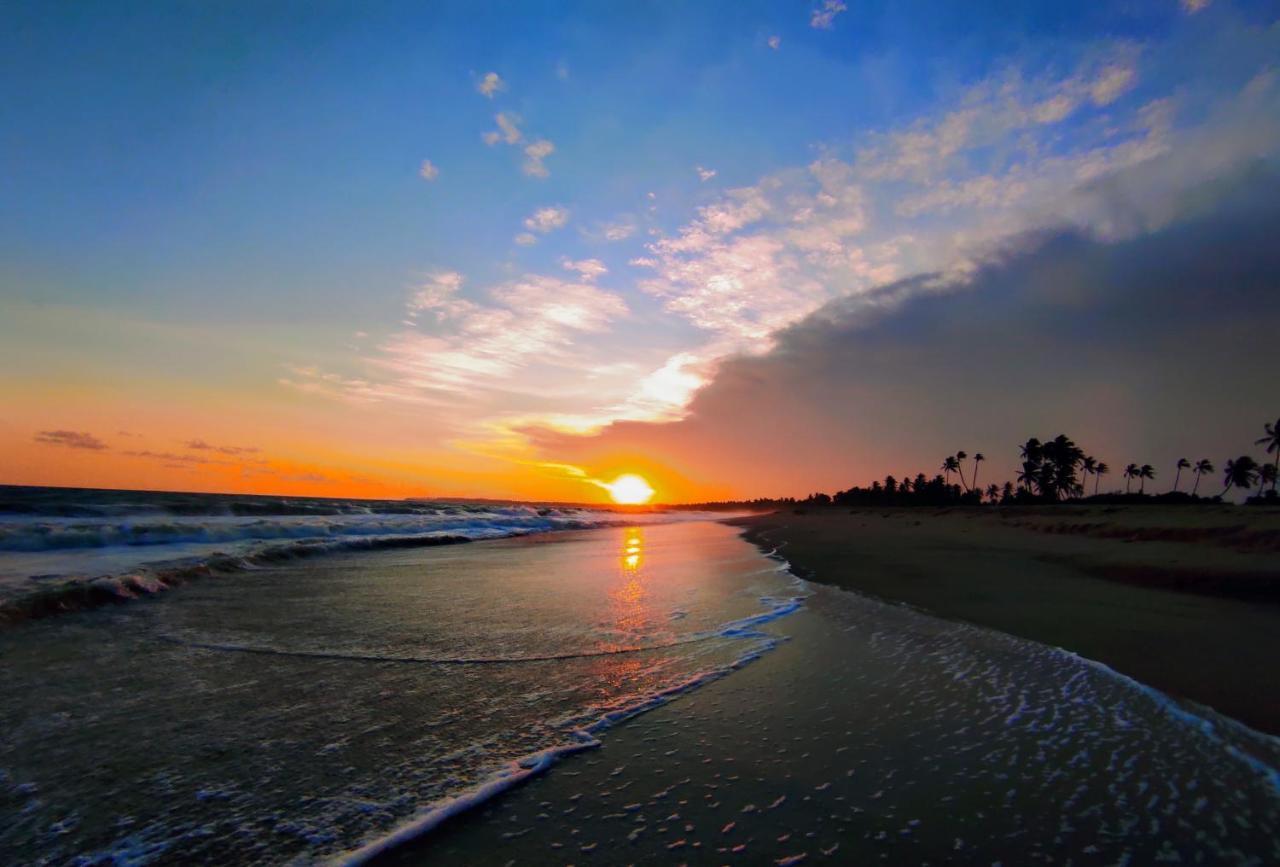 Sleeping Elephant Beach Resort Tangalle Exterior foto