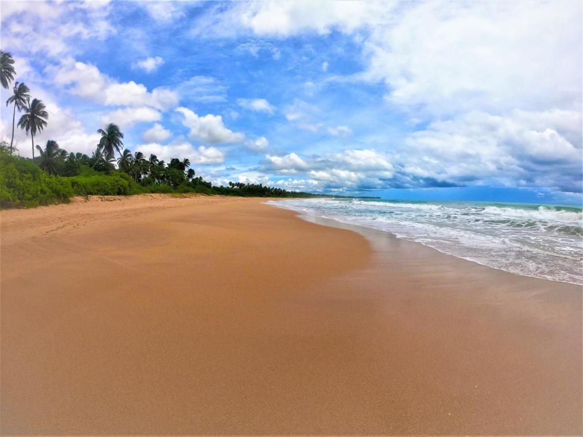 Sleeping Elephant Beach Resort Tangalle Exterior foto