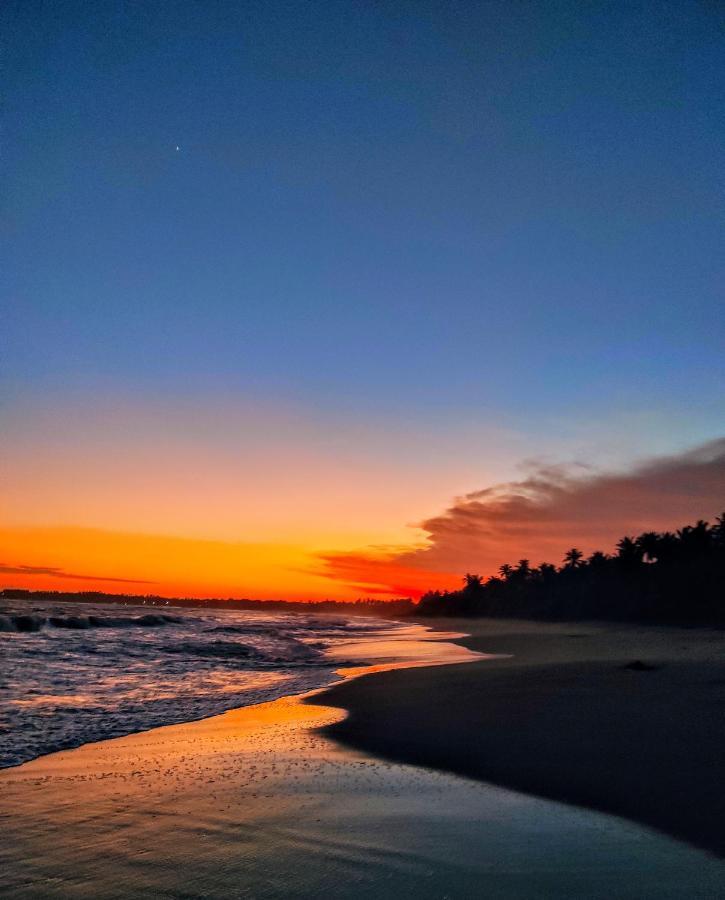 Sleeping Elephant Beach Resort Tangalle Exterior foto